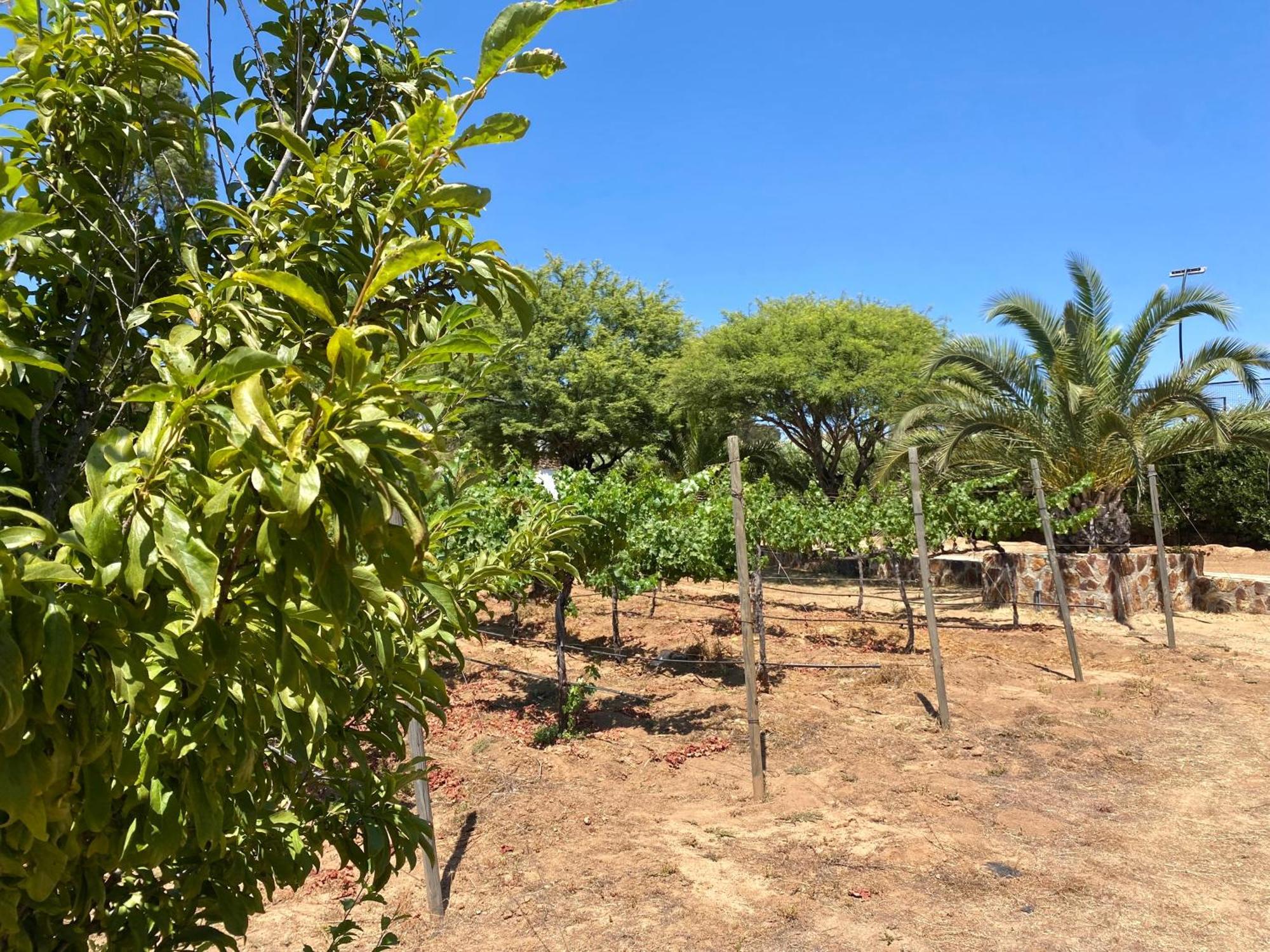 Отель Tierra Mia Hacienda Ruta Del Vino Валье-де-Гуадалупе Экстерьер фото